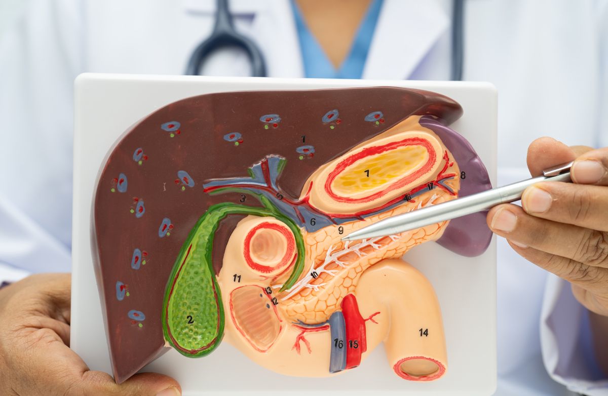 Łopian – skuteczny składnik suplementu AkuCleanse