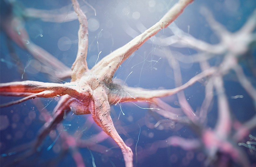 Stan zapalny – czym jest i jaką rolę odgrywa dieta