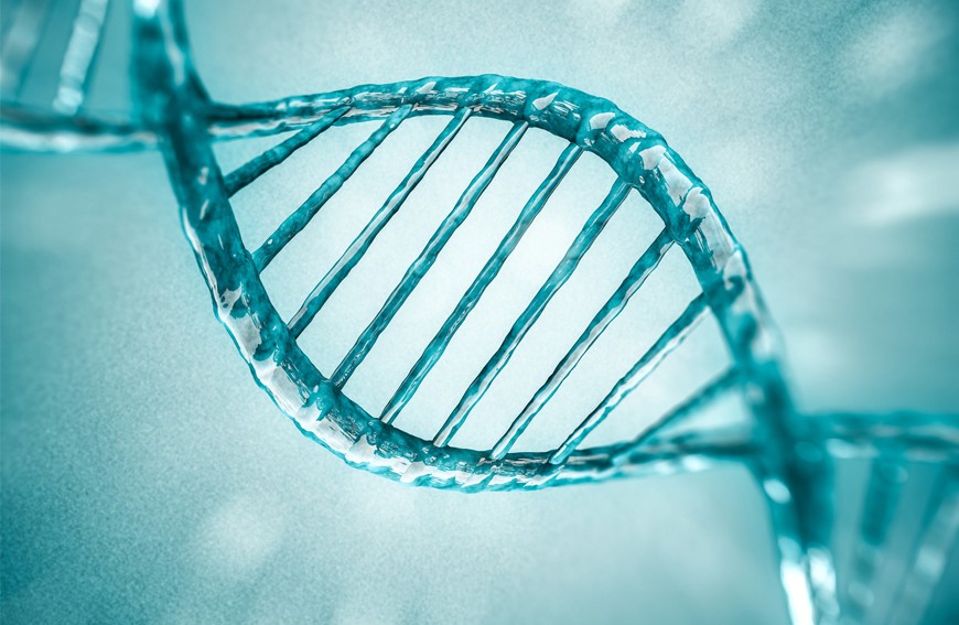 Epigenetyka – co to takiego?