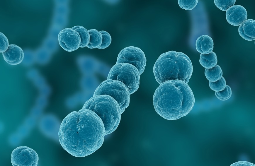 Naturę leczymy naturą