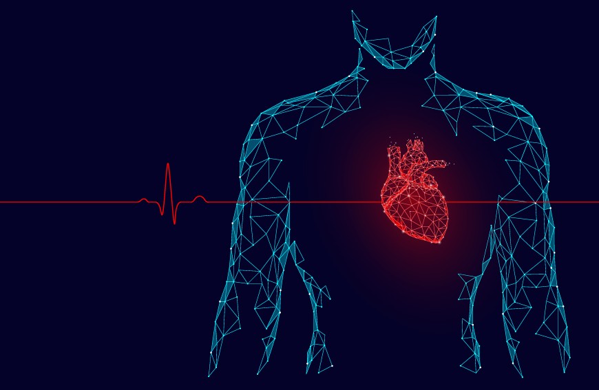 Wpływ Alveo na układ krążenia i historia jednego serca 