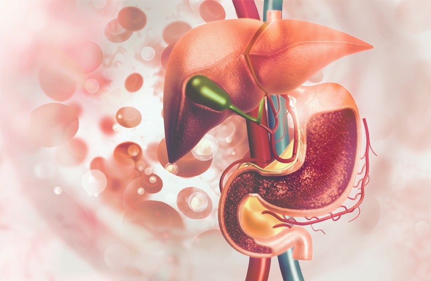 AkuCleanse pomaga Twojej wątrobie