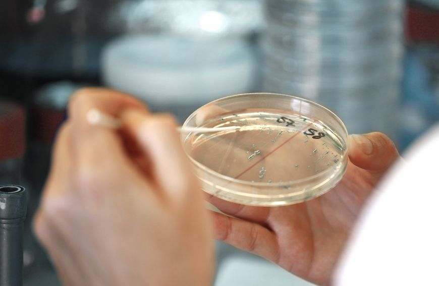 Bakteria czy wirus, to kluczowe pytanie