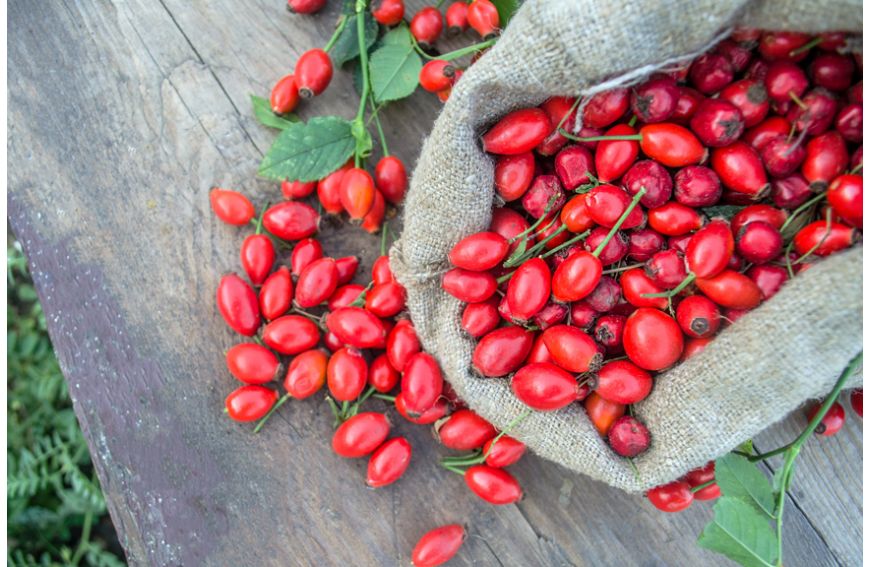 Koper włoski, Kardamon, Dzika róża